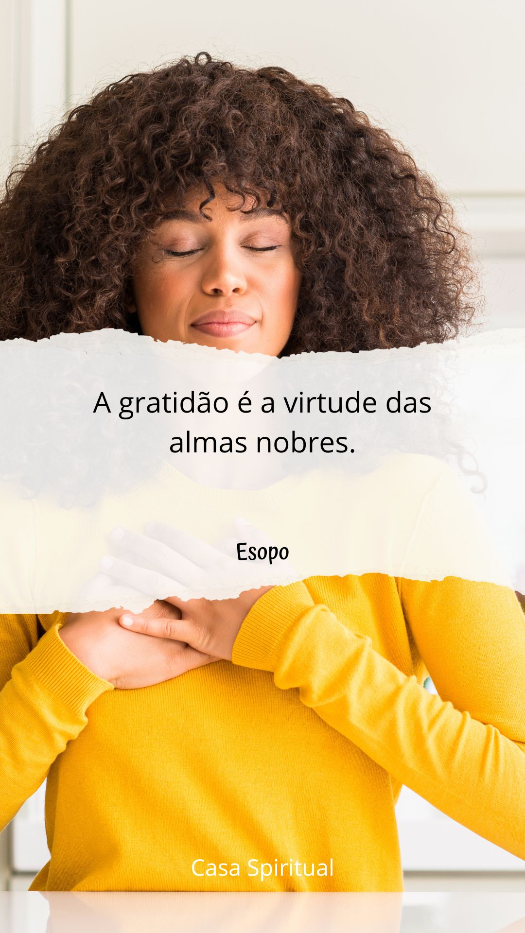 A gratidão é a virtude das almas nobres.