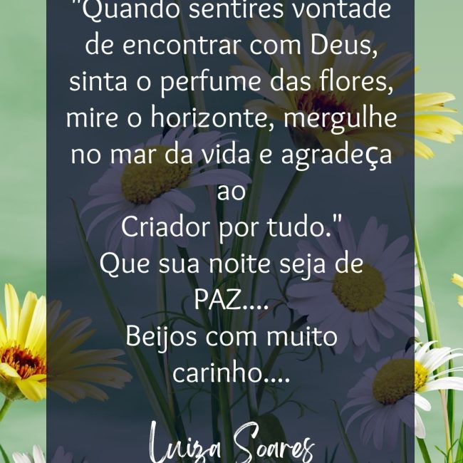 Boa Noite Pessoa Querida! "Quando sentires vontade de encontrar com Deus, sinta o perfume das flores, mire o horizonte, mergulhe no mar da vida e agradeça ao Criador por tudo." Que sua noite seja de PAZ.... Beijos com muito carinho....