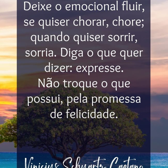 Deixe o emocional fluir, se quiser chorar, chore; quando quiser sorrir, sorria. Diga o que quer dizer: expresse. Não troque o que possui, pela promessa de felicidade.