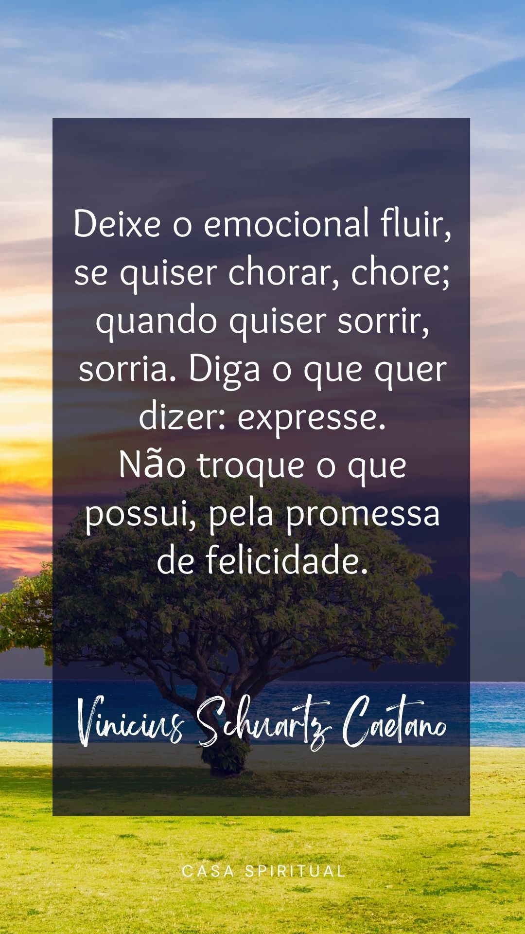 Deixe o emocional fluir, se quiser chorar, chore; quando quiser sorrir, sorria. Diga o que quer dizer: expresse. Não troque o que possui, pela promessa de felicidade.