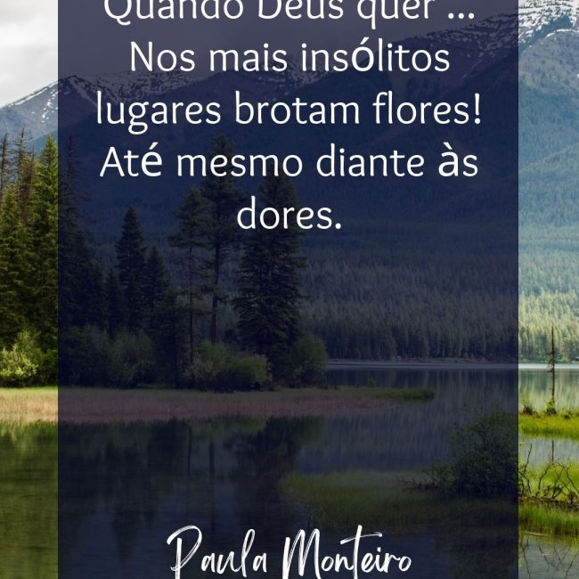 Quando Deus quer ... Nos mais insólitos lugares brotam flores! Até mesmo diante às dores.