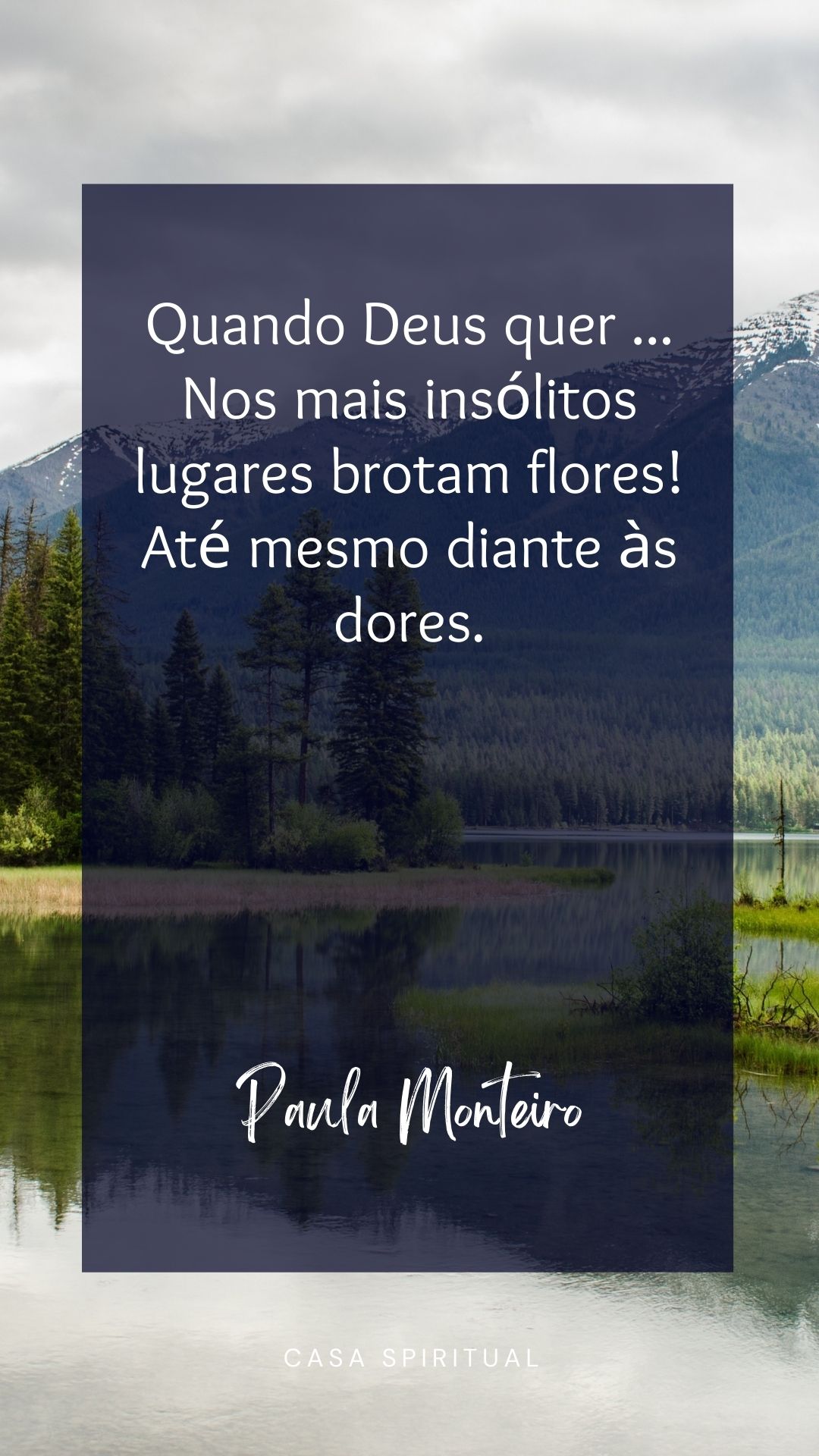 Quando Deus quer ... Nos mais insólitos lugares brotam flores! Até mesmo diante às dores.