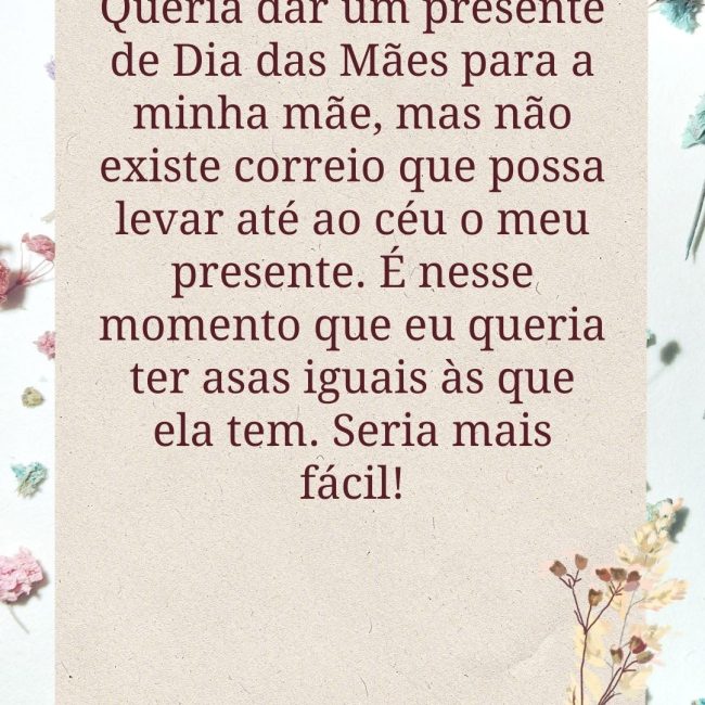 Queria dar um presente de Dia das Mães para a minha mãe, mas não existe correio que possa levar até ao céu o meu presente. É nesse momento que eu queria ter asas iguais às que ela tem. Seria mais fácil!