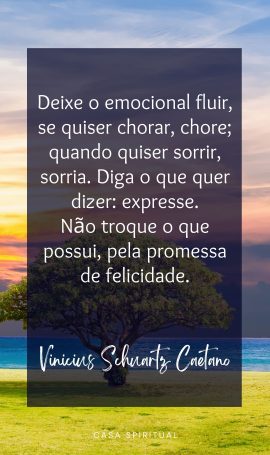 Deixe o emocional fluir, se quiser chorar, chore; quando quiser sorrir, sorria. Diga o que quer dizer: expresse. Não troque o que possui, pela promessa de felicidade.