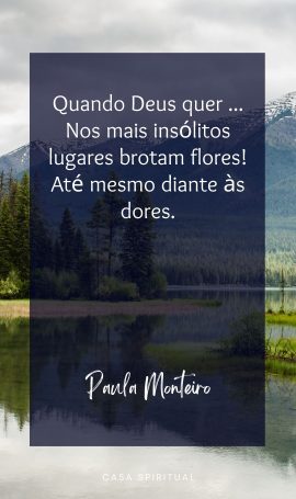 Quando Deus quer ... Nos mais insólitos lugares brotam flores! Até mesmo diante às dores.