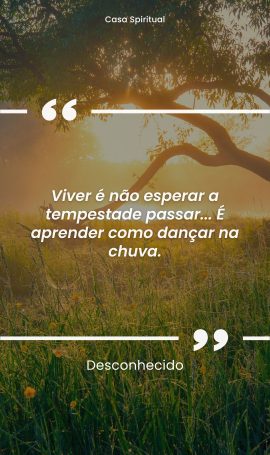 Viver é não esperar a tempestade passar... É aprender como dançar na chuva.